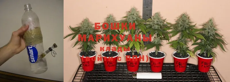 дарнет шоп  Зерноград  Конопля Ganja 